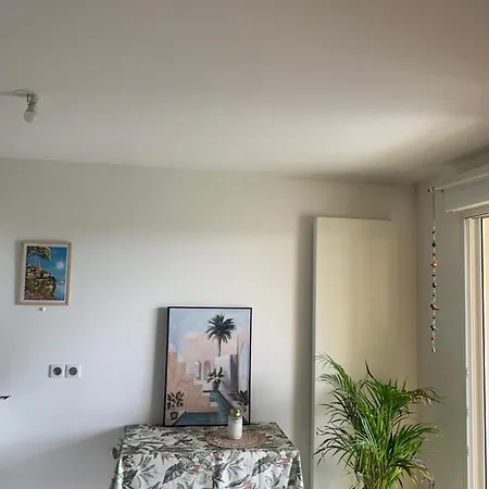 Appartement F2 Epure Montpellier Avec Terrasse