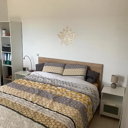 Appartement F2 Epure Montpellier Avec Terrasse